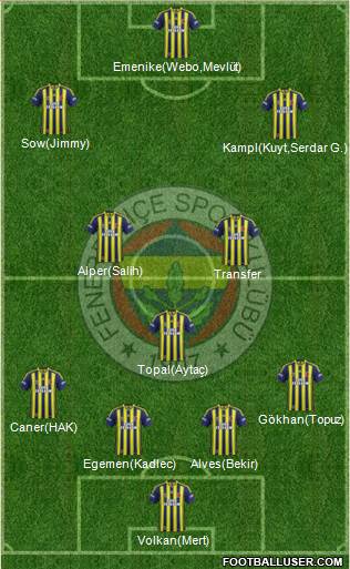 Fenerbahçe SK Formation 2014