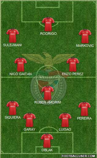 Sport Lisboa e Benfica - SAD Formation 2014