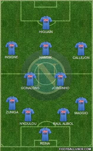 Napoli Formation 2014