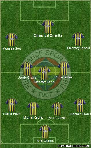 Fenerbahçe SK Formation 2014
