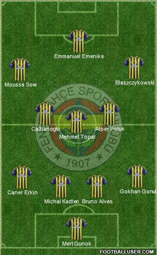 Fenerbahçe SK Formation 2014