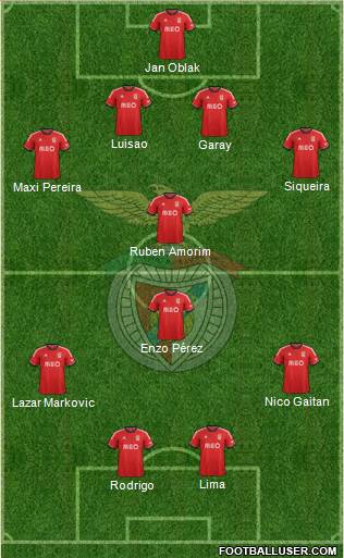 Sport Lisboa e Benfica - SAD Formation 2014