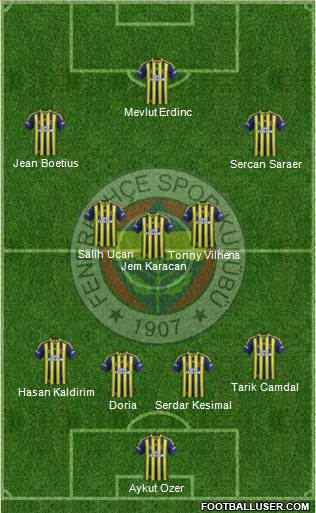 Fenerbahçe SK Formation 2014