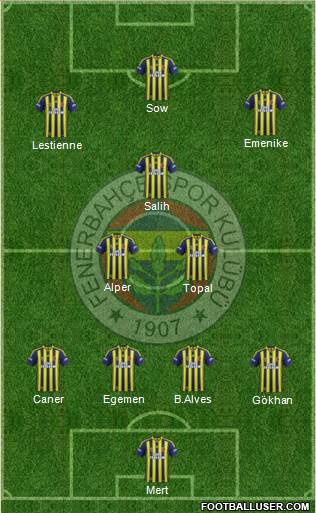Fenerbahçe SK Formation 2014