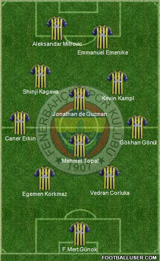 Fenerbahçe SK Formation 2014