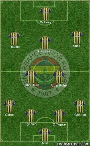 Fenerbahçe SK Formation 2014