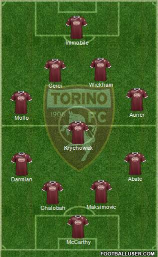 Torino Formation 2014