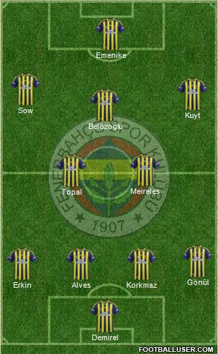 Fenerbahçe SK Formation 2014
