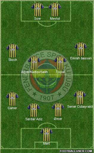 Fenerbahçe SK Formation 2014