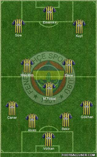 Fenerbahçe SK Formation 2014