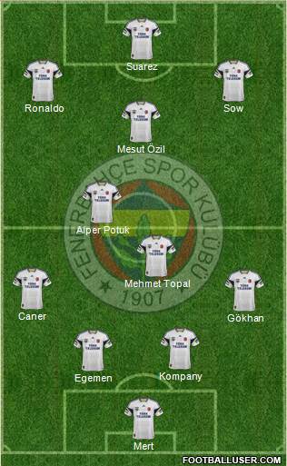 Fenerbahçe SK Formation 2014