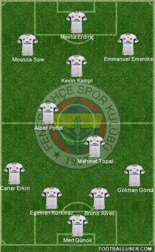 Fenerbahçe SK Formation 2014