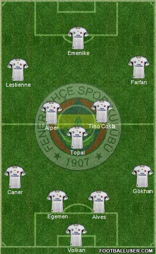 Fenerbahçe SK Formation 2014