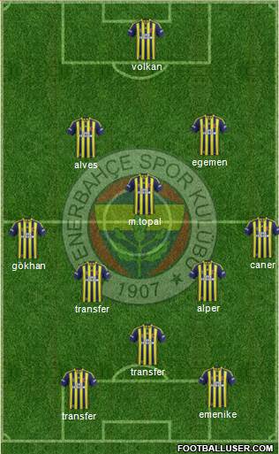 Fenerbahçe SK Formation 2014