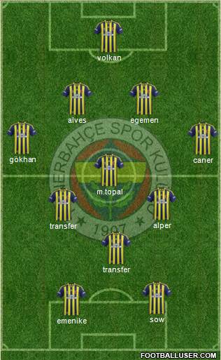 Fenerbahçe SK Formation 2014