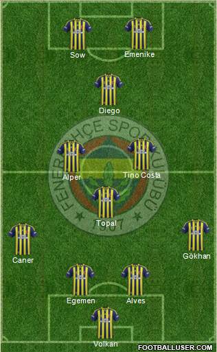 Fenerbahçe SK Formation 2014