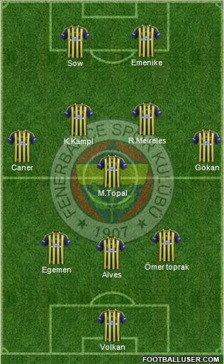 Fenerbahçe SK Formation 2014