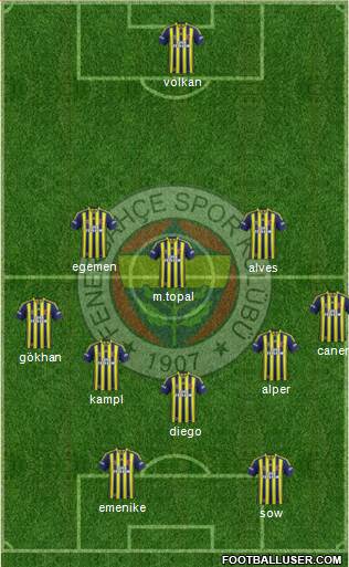 Fenerbahçe SK Formation 2014
