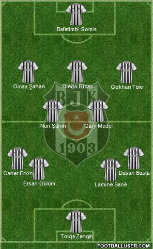 Besiktas JK Formation 2014