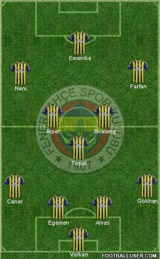 Fenerbahçe SK Formation 2014