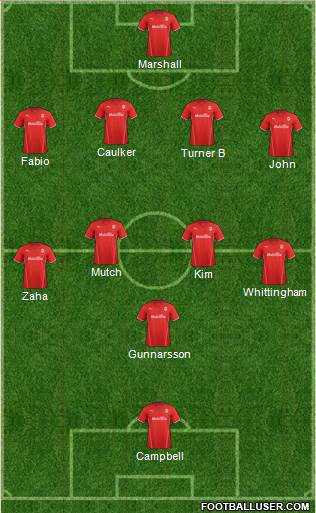 Cardiff City Formation 2014