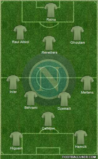 Napoli Formation 2014