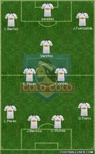 CSD Colo Colo Formation 2014