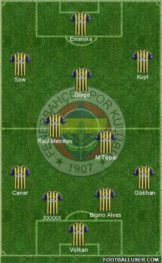 Fenerbahçe SK Formation 2014