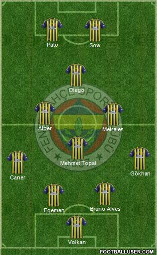 Fenerbahçe SK Formation 2014