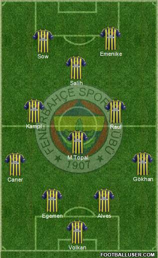 Fenerbahçe SK Formation 2014