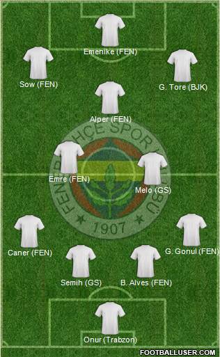 Fenerbahçe SK Formation 2014