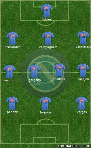 Napoli Formation 2014