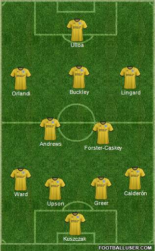 Brighton and Hove Albion Formation 2014
