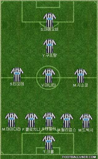 Newcastle United Formation 2014