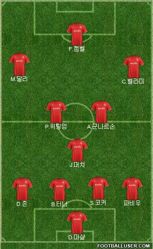 Cardiff City Formation 2014