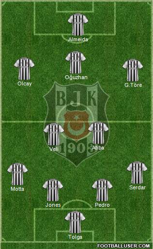 Besiktas JK Formation 2014