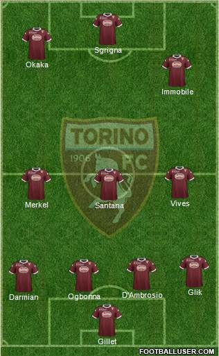 Torino Formation 2014