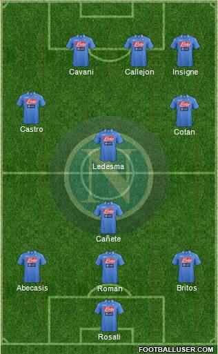 Napoli Formation 2014