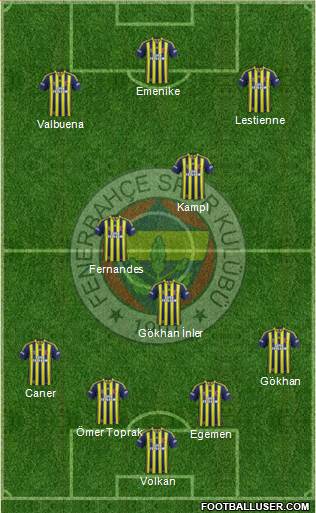 Fenerbahçe SK Formation 2014