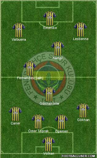 Fenerbahçe SK Formation 2014