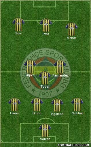 Fenerbahçe SK Formation 2014