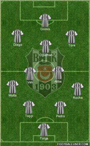 Besiktas JK Formation 2014