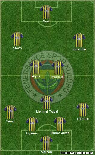 Fenerbahçe SK Formation 2014