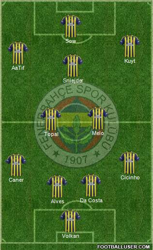Fenerbahçe SK Formation 2014