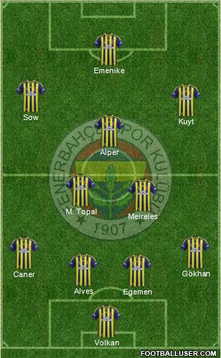 Fenerbahçe SK Formation 2014