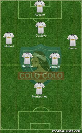 CSD Colo Colo Formation 2014