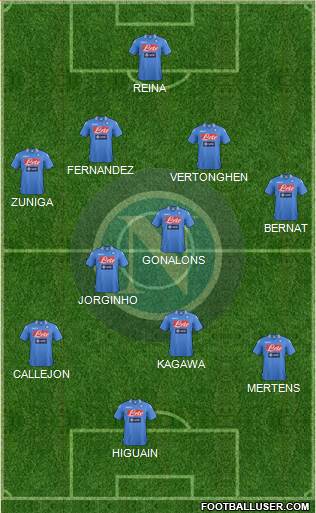 Napoli Formation 2014