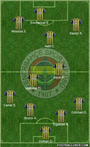 Fenerbahçe SK Formation 2014
