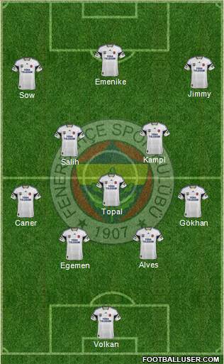 Fenerbahçe SK Formation 2014