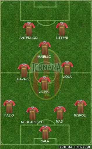 Ternana Formation 2014